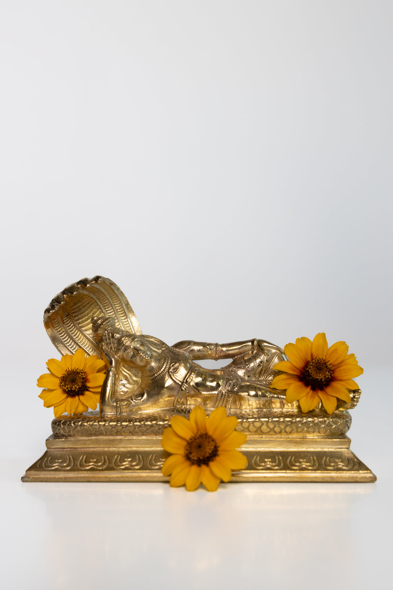 Sri Ranganath Sripiteshwar