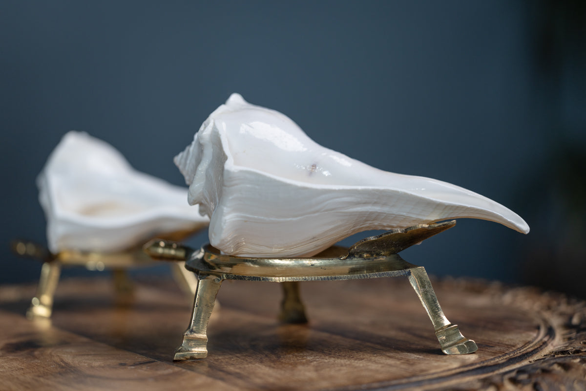 Conch Stand (Shankha Stand)