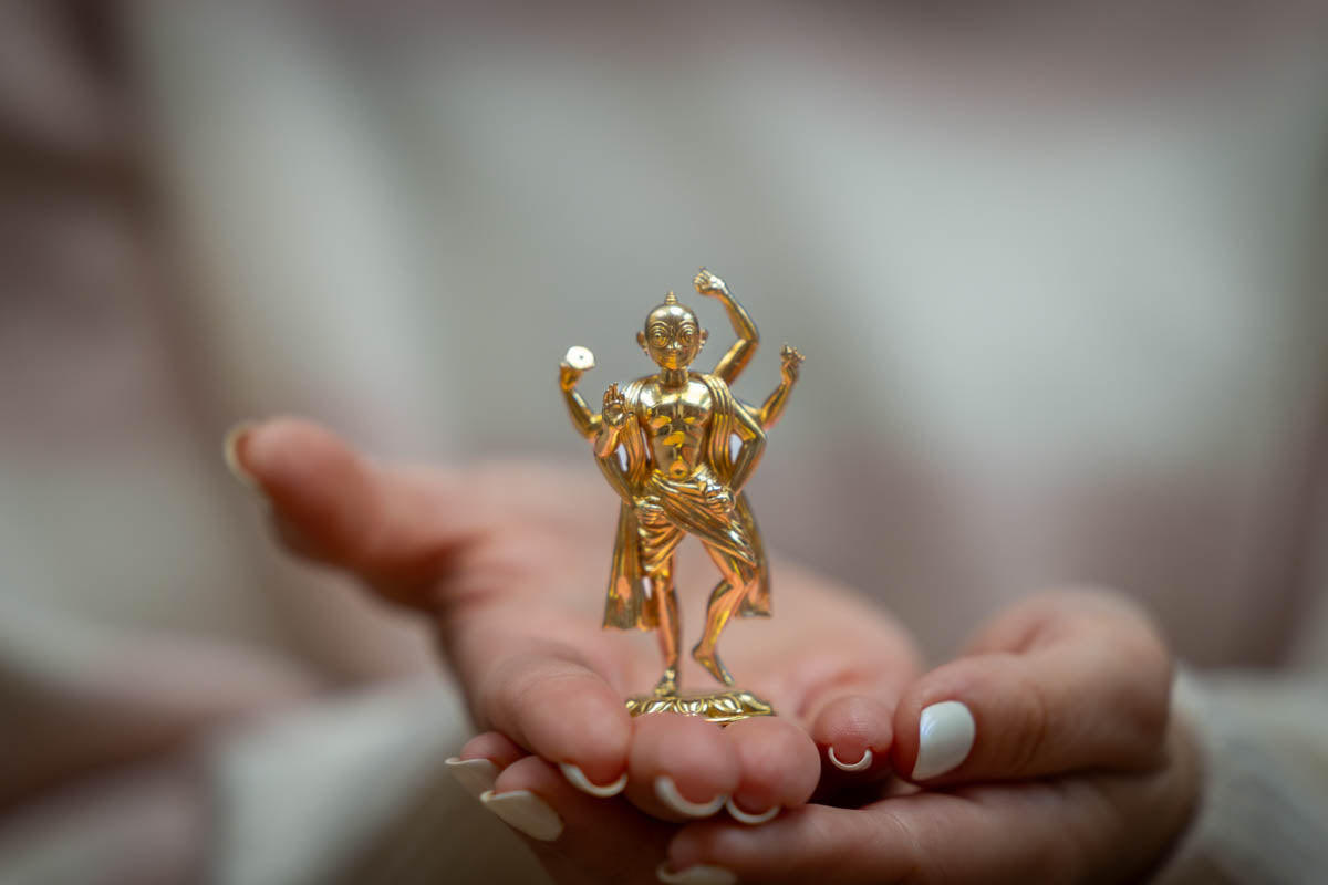 Sri Vitthala Giridhari Parabrahman, mini