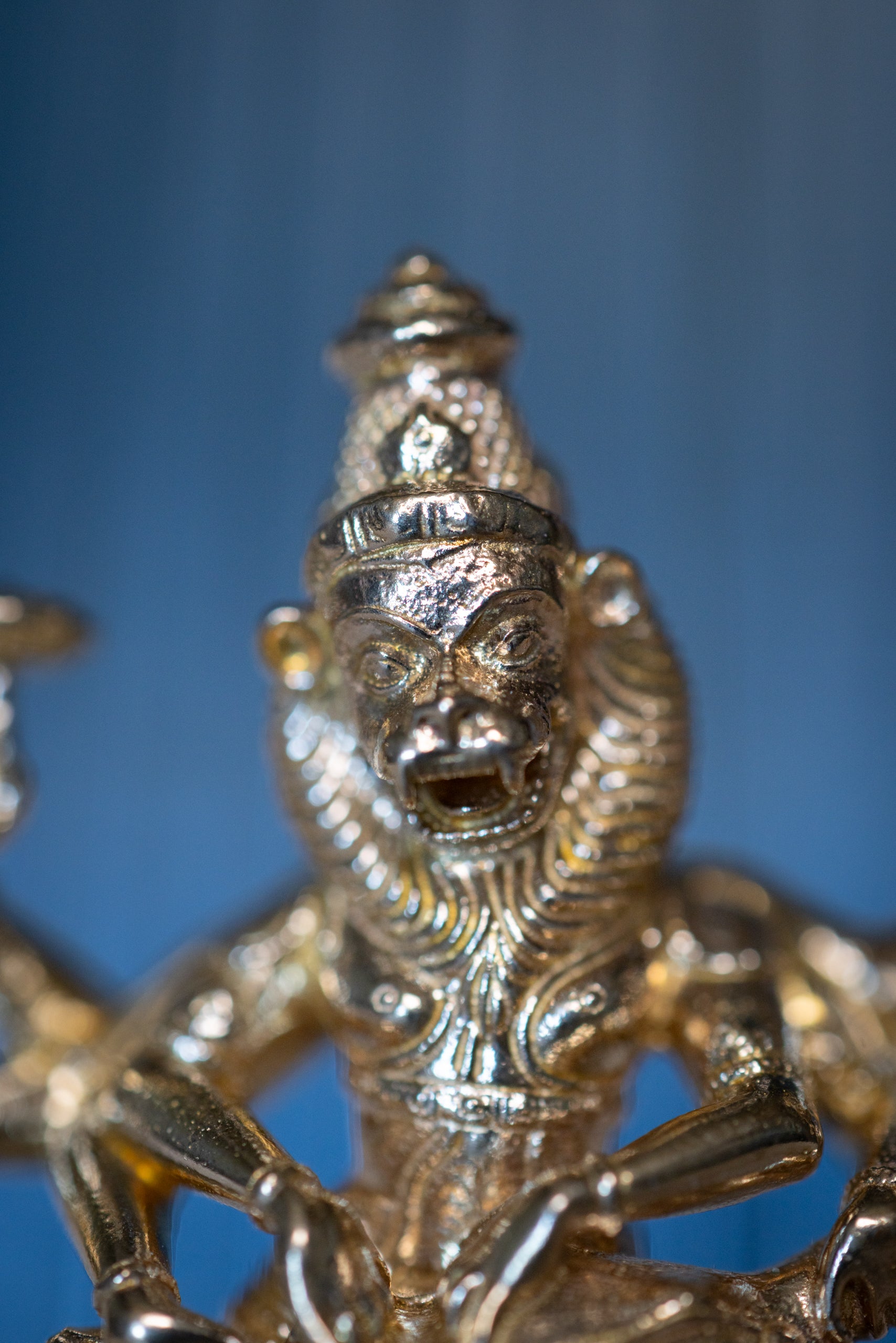 Narasimha Bhutabhrteshwarnath, mini