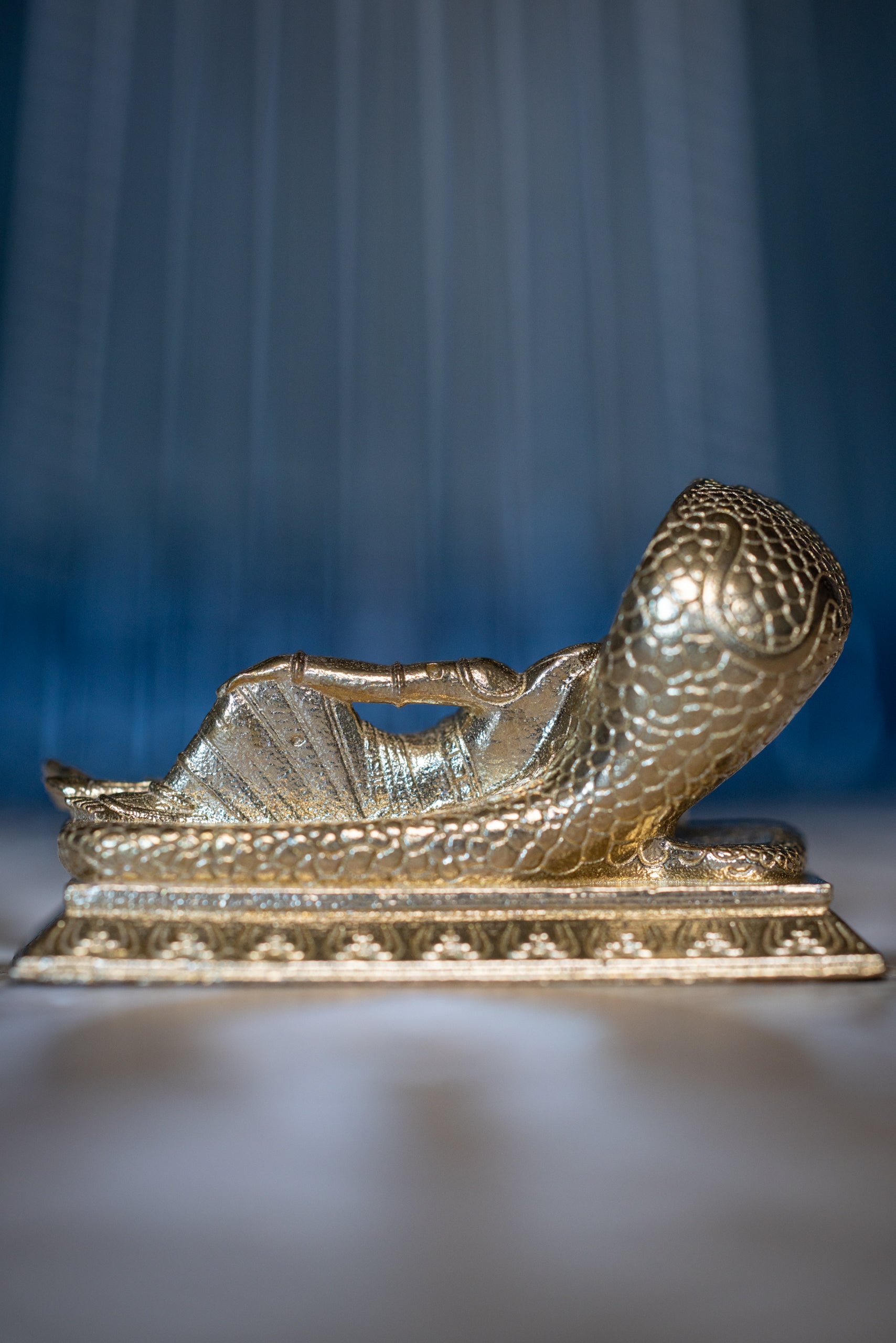 Sri Ranganath Sripiteshwar, mini