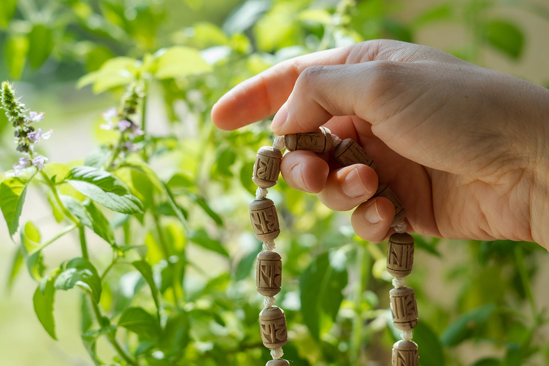 Tulsi mala 'Radha' (oblong)