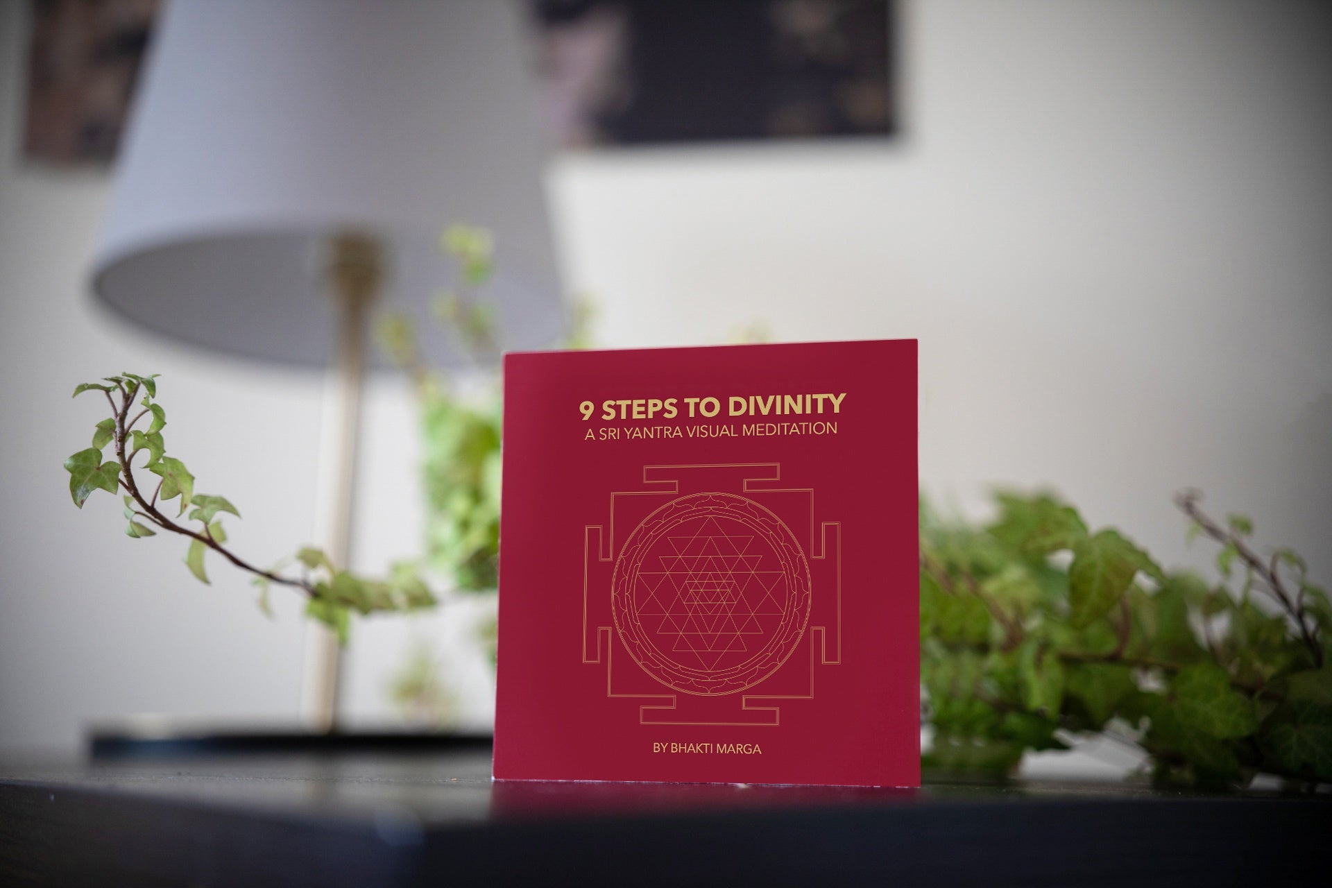 Sri Yantra Visual Meditation. 9 Steps to Divinity. Booklet