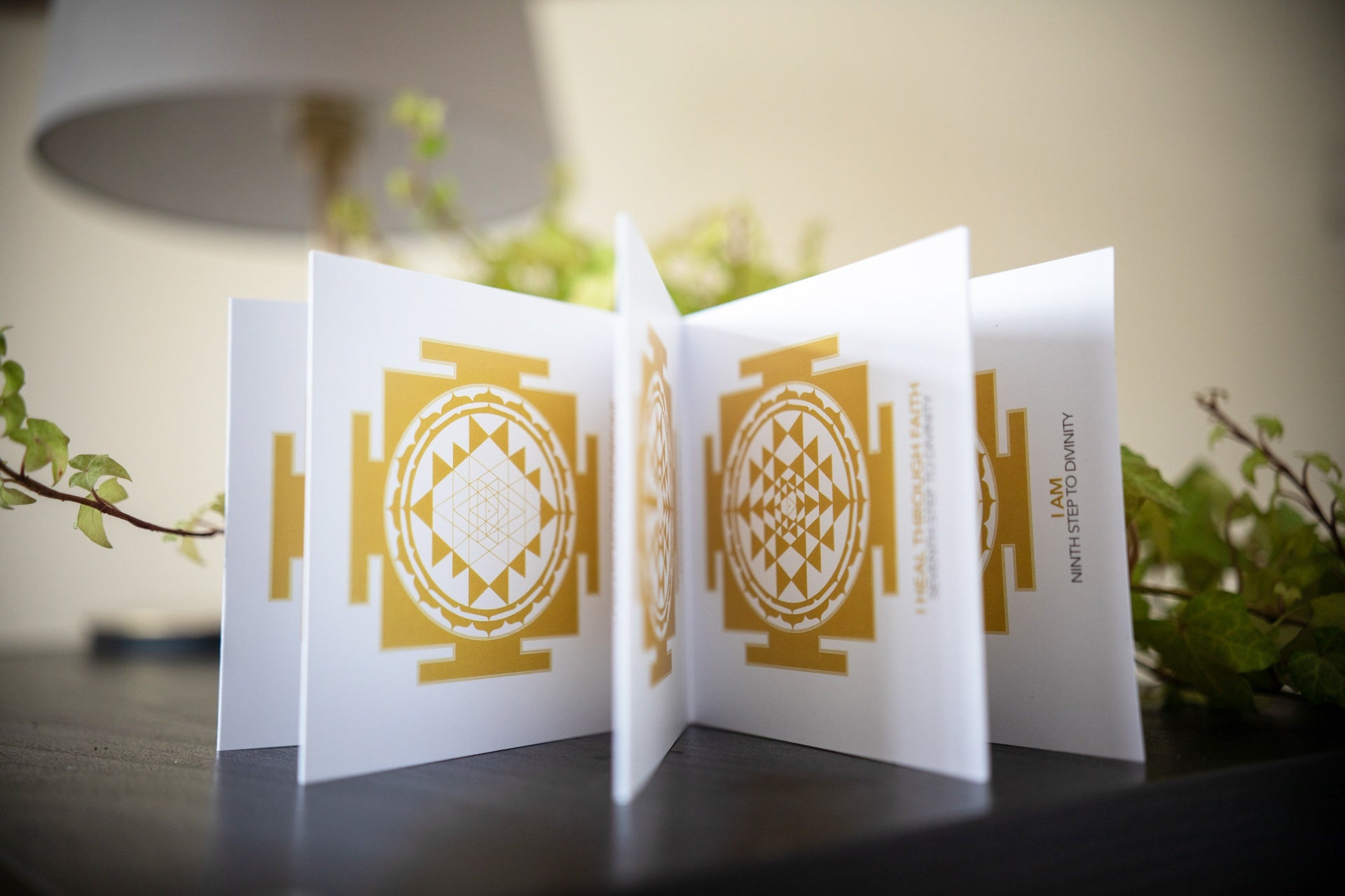 Sri Yantra Visual Meditation. 9 Steps to Divinity. Booklet