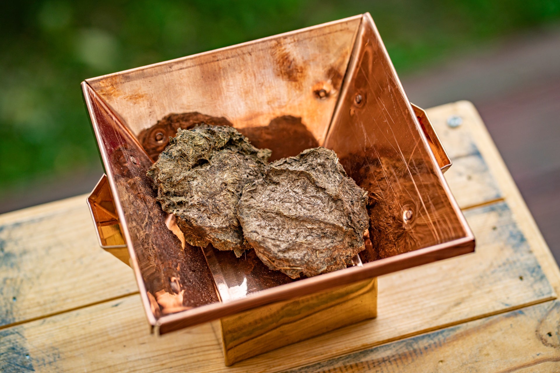 Cow dung from SPN