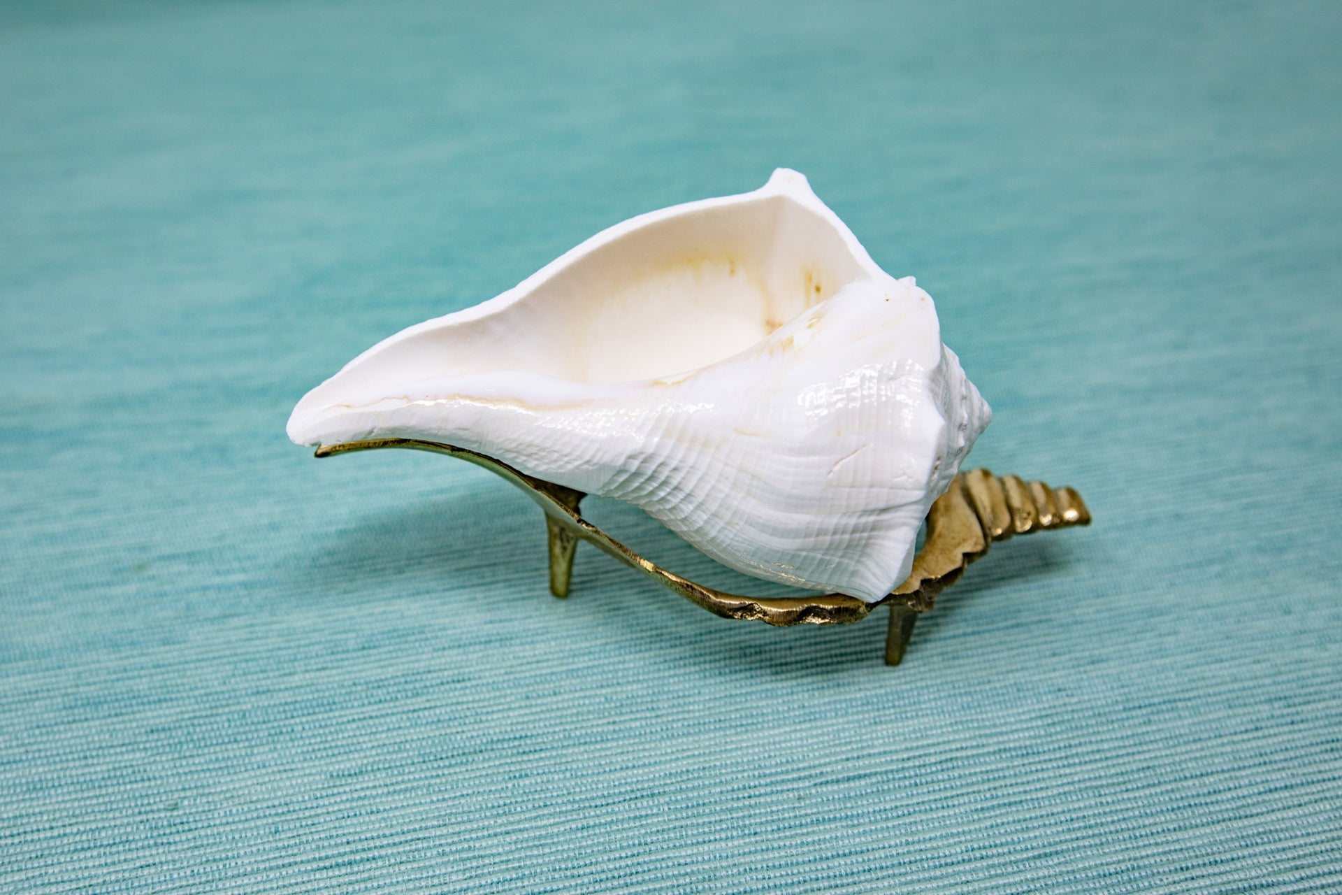 Abhishekam Conch / Shankha, Right hand, small - medium sizes