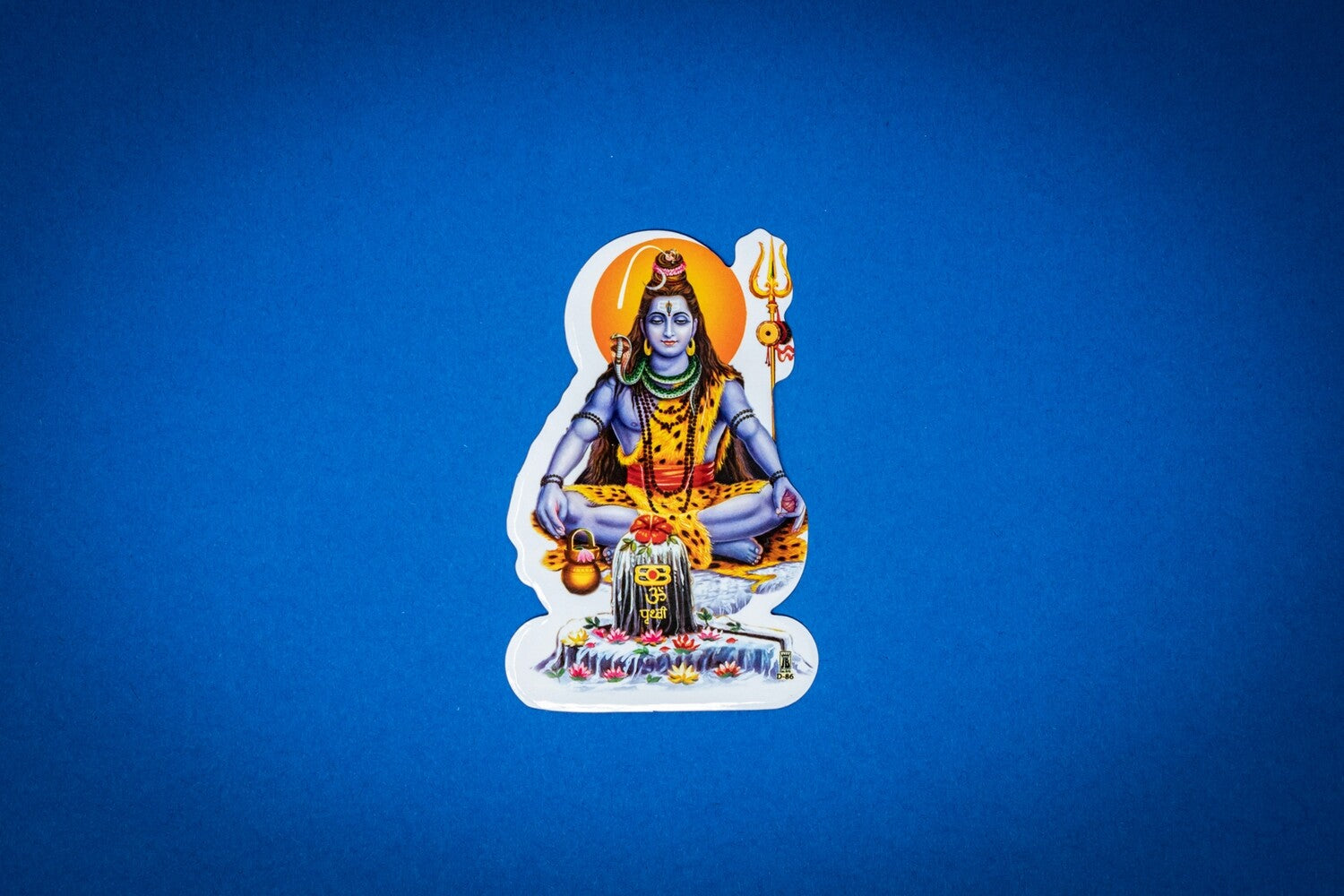 #variations_Shiva