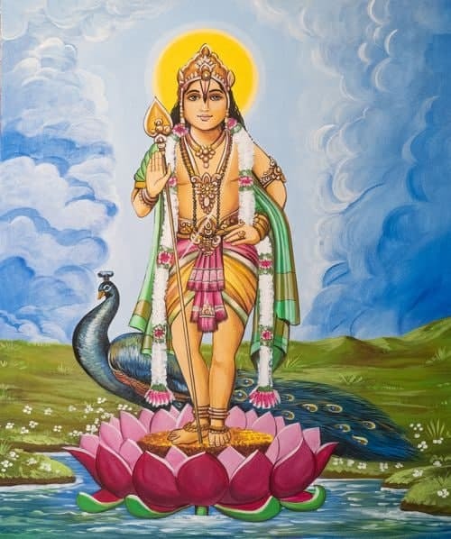 SIGNORE MURUGA
