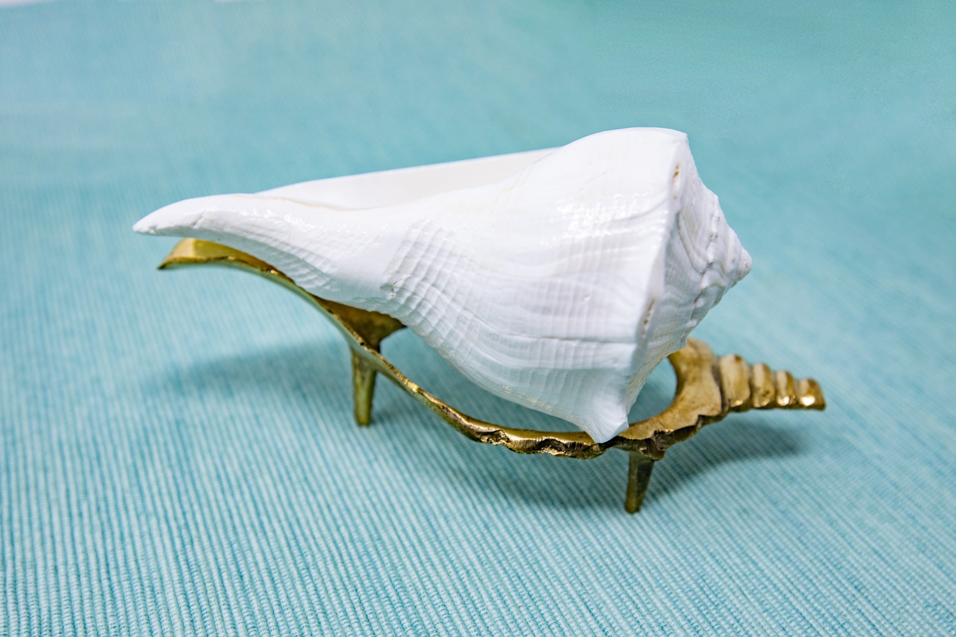 Abhishekam Conch / Shankha, mano destra, grandi dimensioni