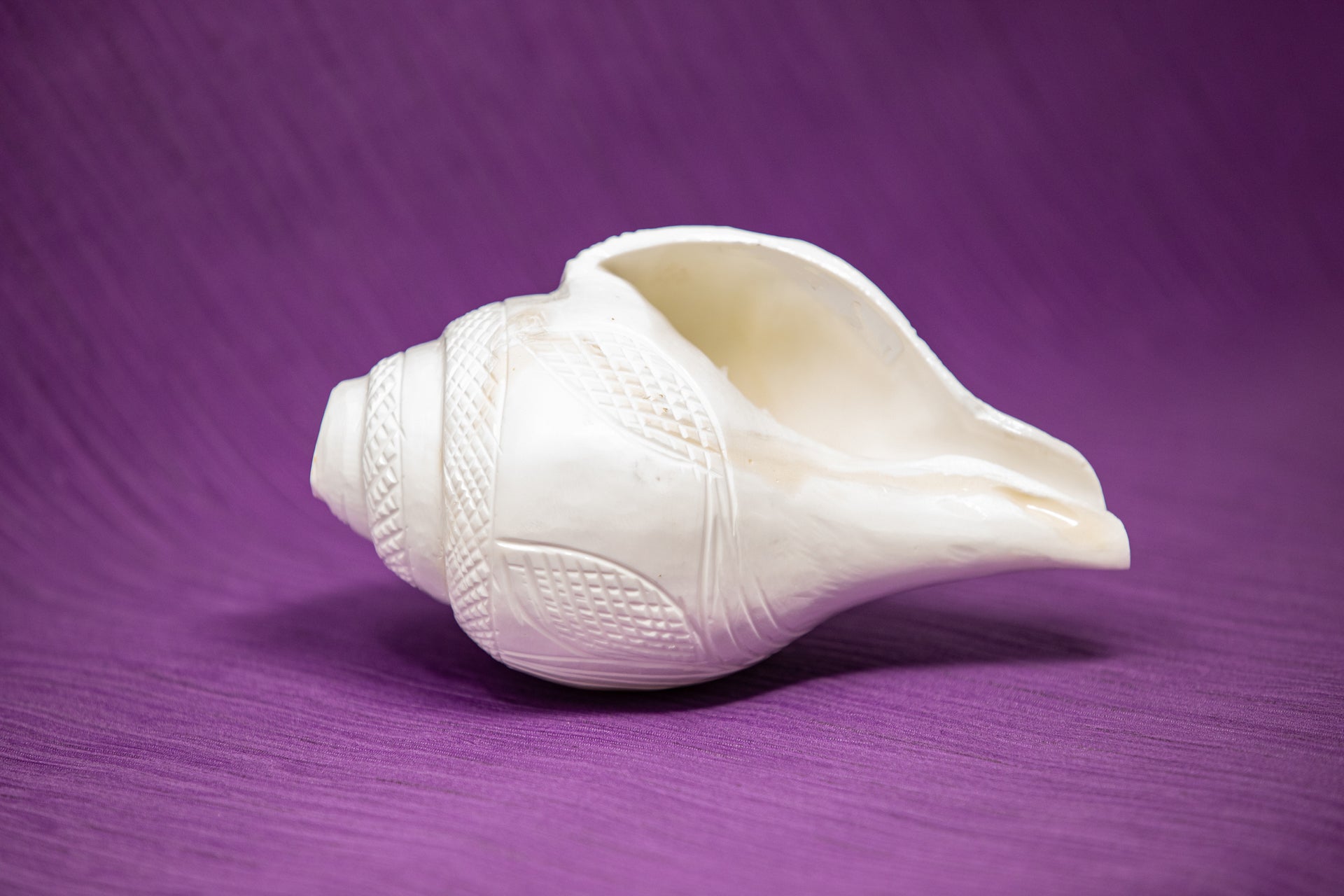 Blowing Conch / Shankha, Right hand, flower design