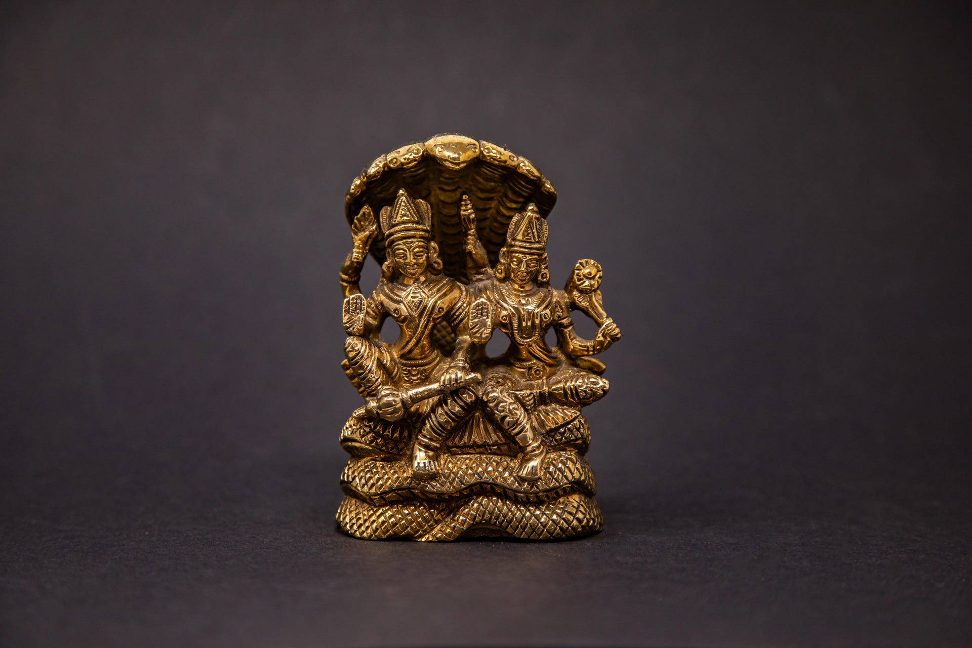 Lakshmi-Narayana seated on Adishesha