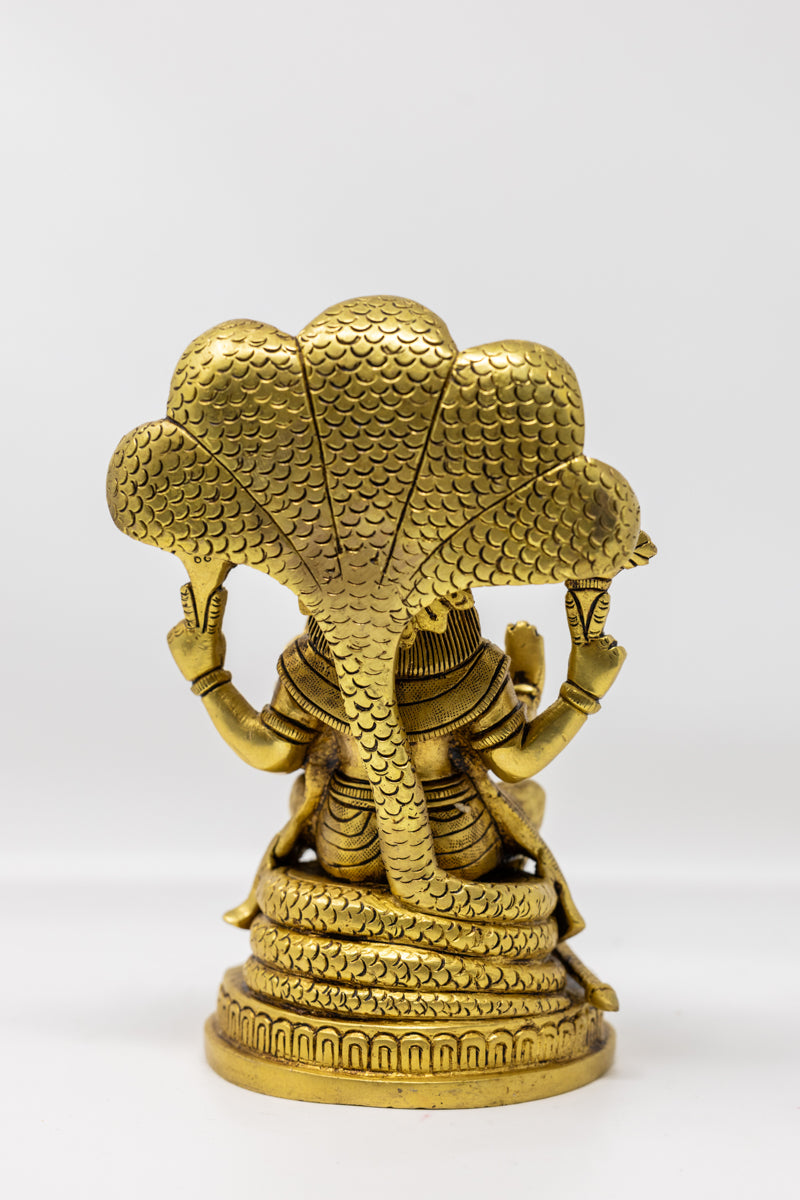 Lakshmi-Narasimha, 8,5 pollici, BR