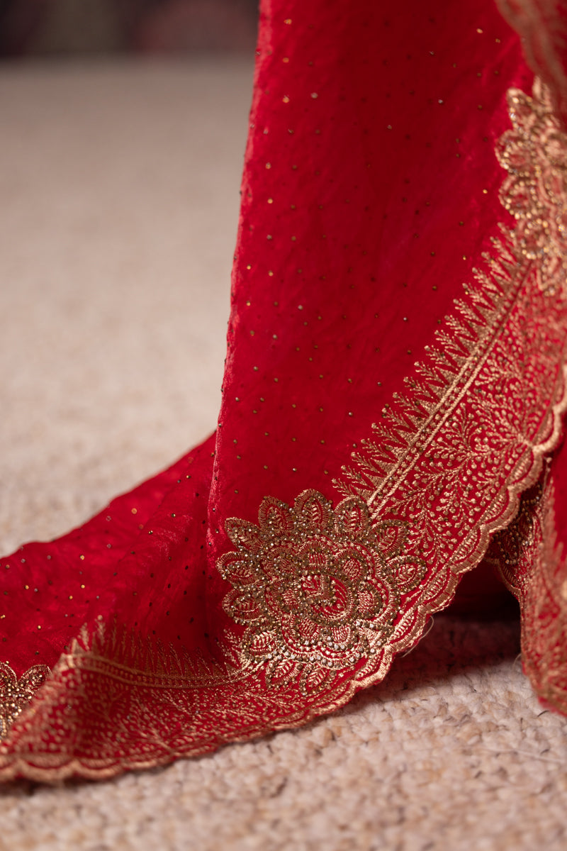 Red Organza Embroidered Saree