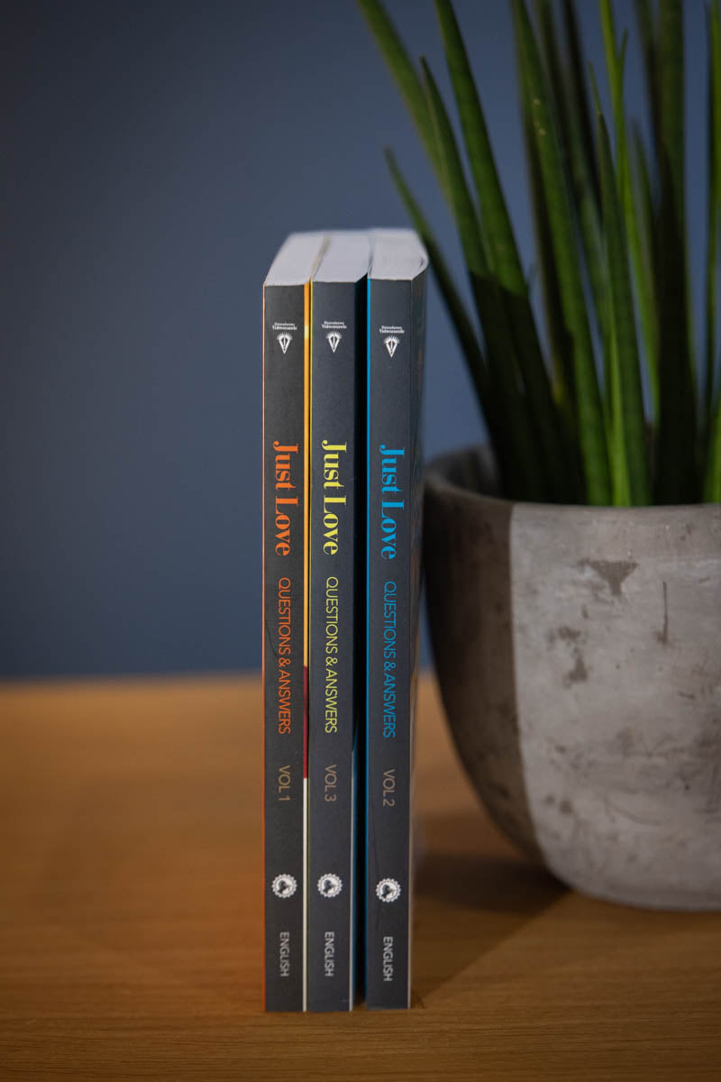 Sacred Mind - Just Love Q&A