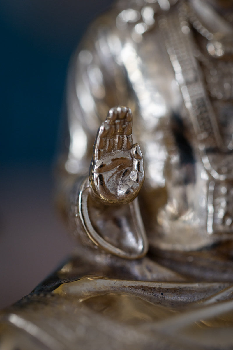 Paramahamsa Vishwananda Vigraha Murti