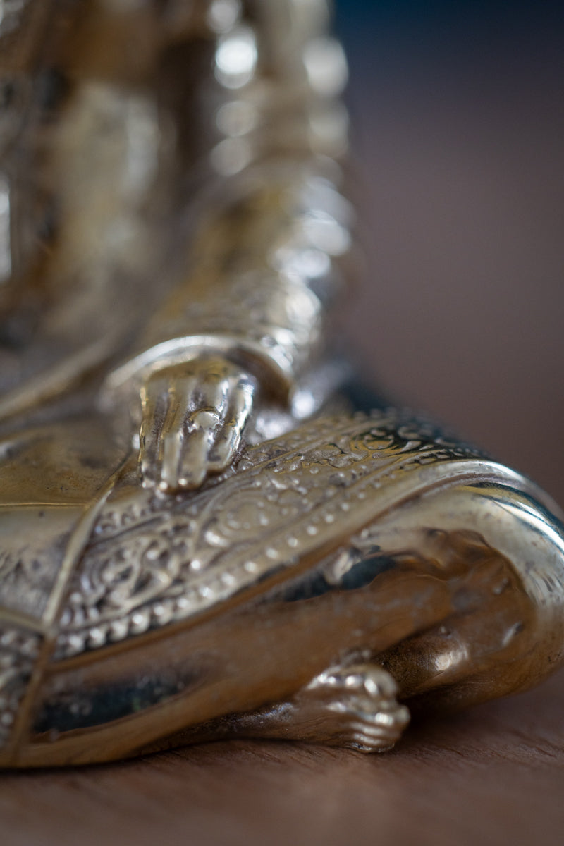 Paramahamsa Vishwananda Vigraha Murti