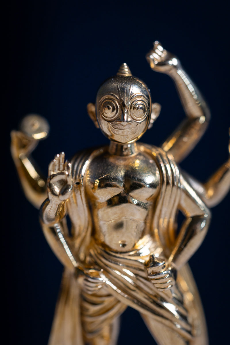 Sri Vitthala Giridhari Parabrahman, mini