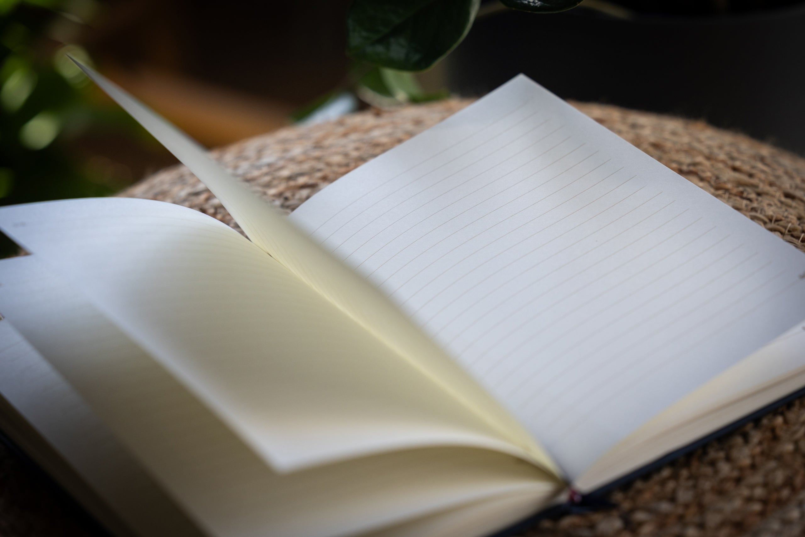 Likhita-Japa Notebook