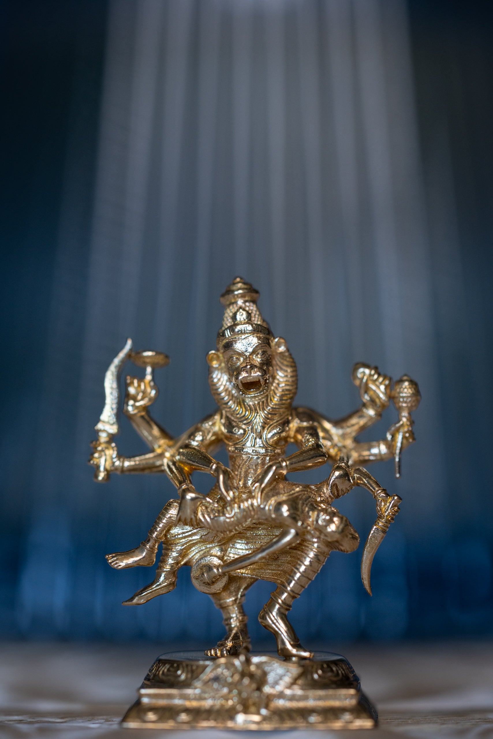 Narasimha Bhutabhrteshwarnath, mini