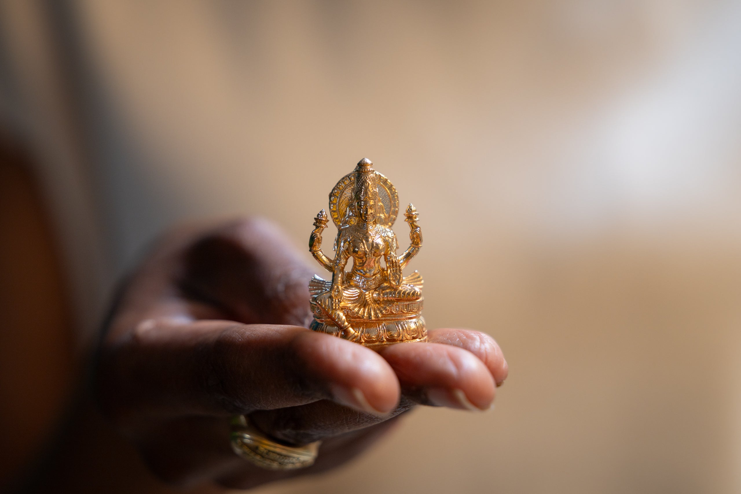 Maha-Lakshmi Sripiteshwari, mini