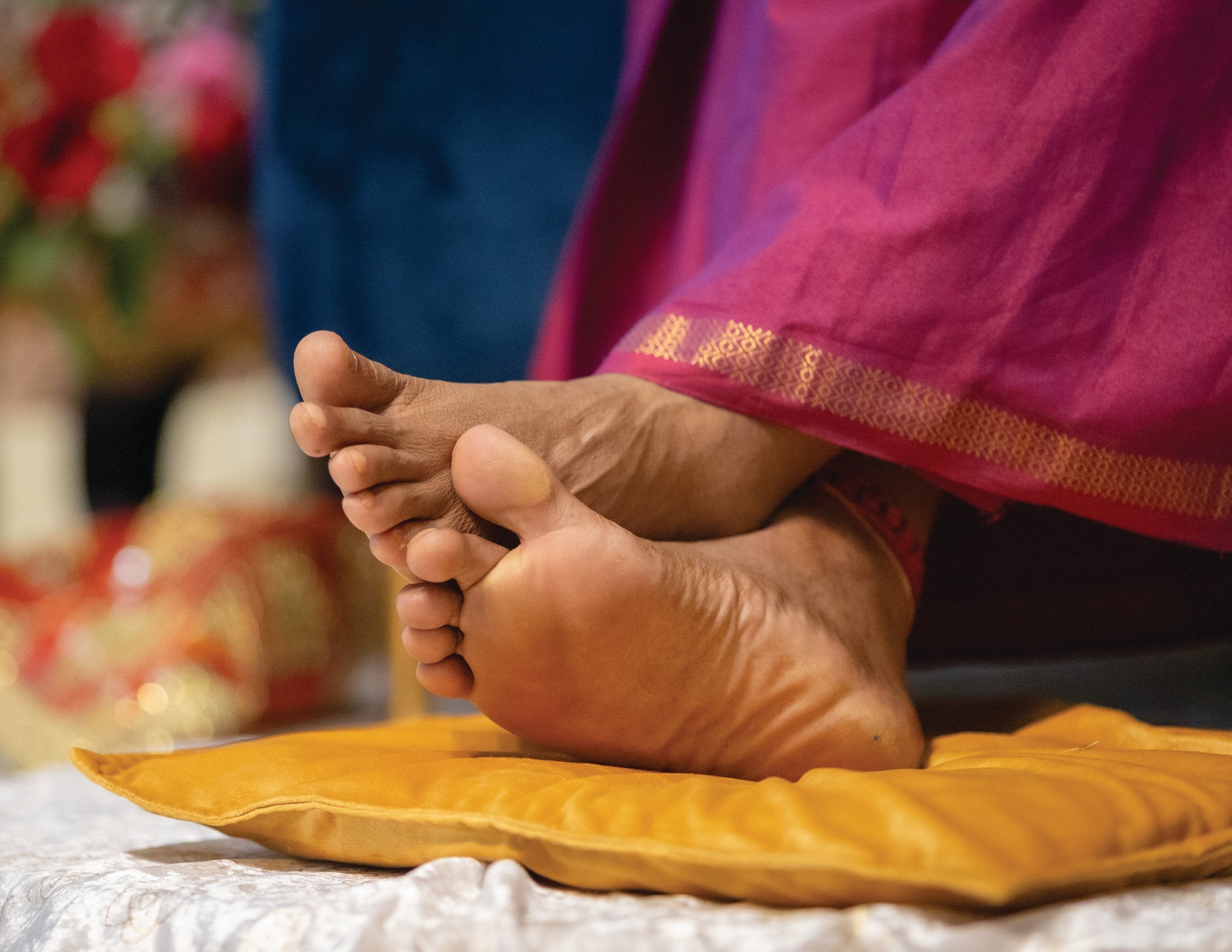 I piedi di loto di Gurudev, canva, variazioni