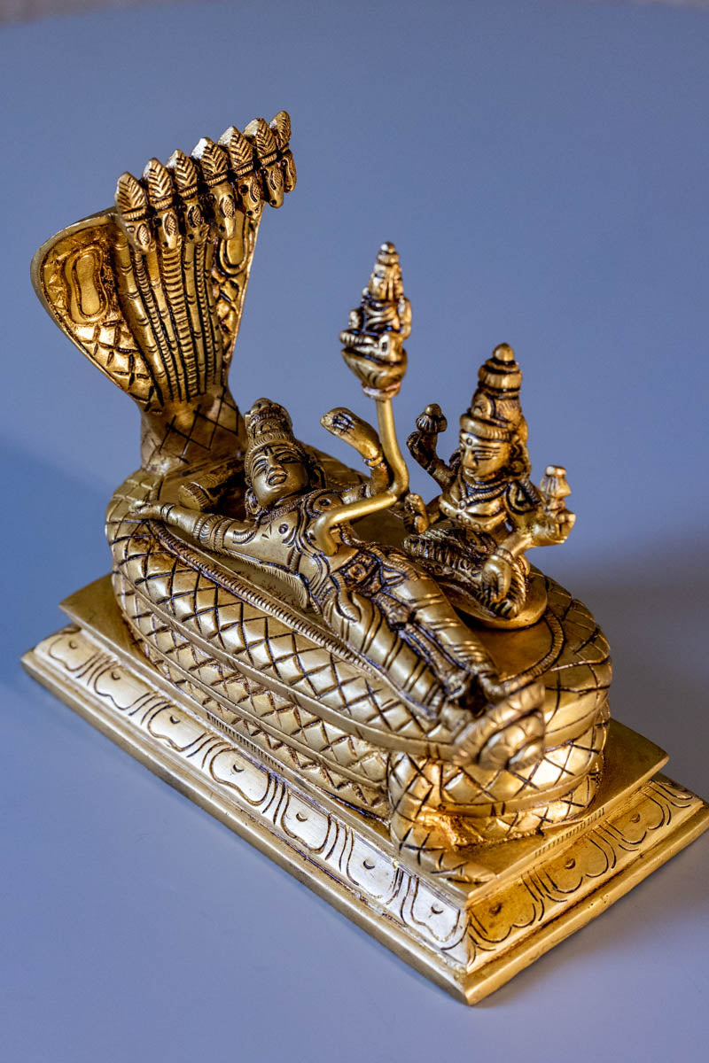 Lakshmi-Narayana on Adishesha