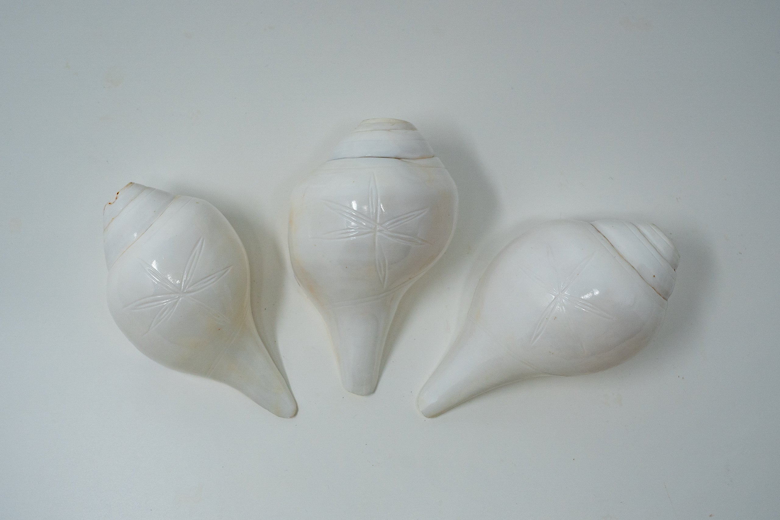 Blowing Conch / Shankha, Right hand, flower design